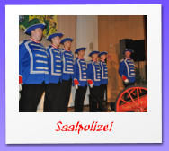 Saalpolizei